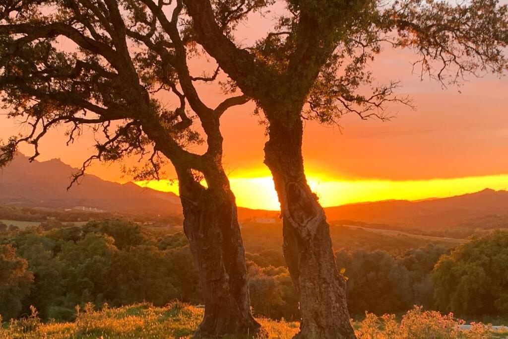 Maison Typique De Campagne Au Coeur De La Nature . Sartene  Ngoại thất bức ảnh